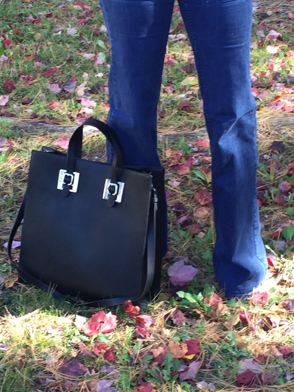 Entry 023: Canadian Tuxedo x&nbsp;Fall